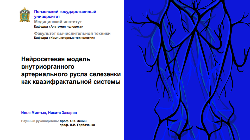 Выступление на конференции